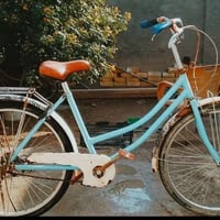 باسكل • حجم 26 • الحله بكرلي