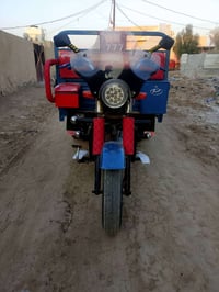 ستوته • موديل 2020 • كوت الشراي