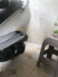 فورزه 06 • بدون أوراق • نضافة 70٪