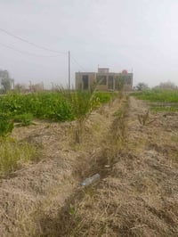 نص دونم • مع بيت • قريب طريق السنية