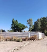 قطعة زراعية • ٩٥٠م • أبو عصافير