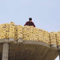 خلفه بناء • متفرغ • السماوه