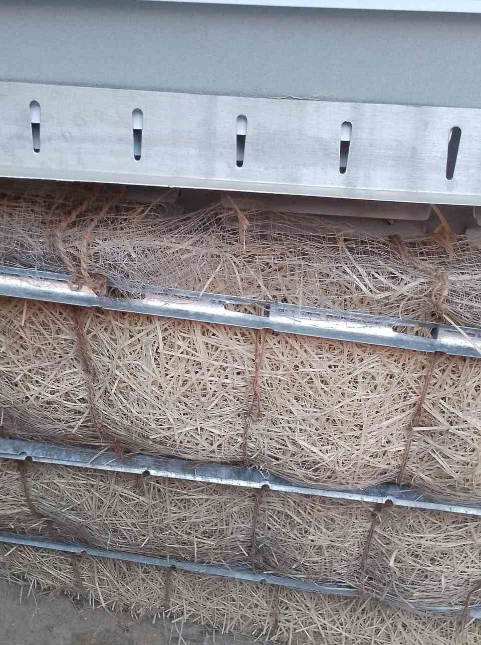 مبرد للبيع برفاب نحاس استعمال سبوع للبيع


**إذا كنت صاحب هذا الإعلان وتريد حذفه لأي سبب، رجاءا أرسل رسالة إلى الدعم الفني**