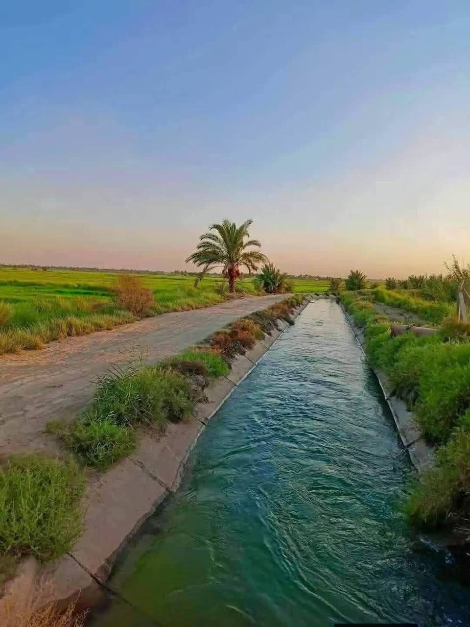 بلاشش الله شاهد قرب جسر المصابيح دوانم 2500م ركن تبليط
📌10دوانم ركن نخل بستان كامل نخل  يبناع حسب الطلب 
📌دوانم في منطقة البصام 📌طابو الكاظمية سند باسمك 
📌فتح بيان باسمك ثاني يوم
📌خدمات ماء سقي وكهرباء 24ساعة 
📌 الاسعار من 55 الى 70 

الاستفسار 📞***********واتس او الاتصال
