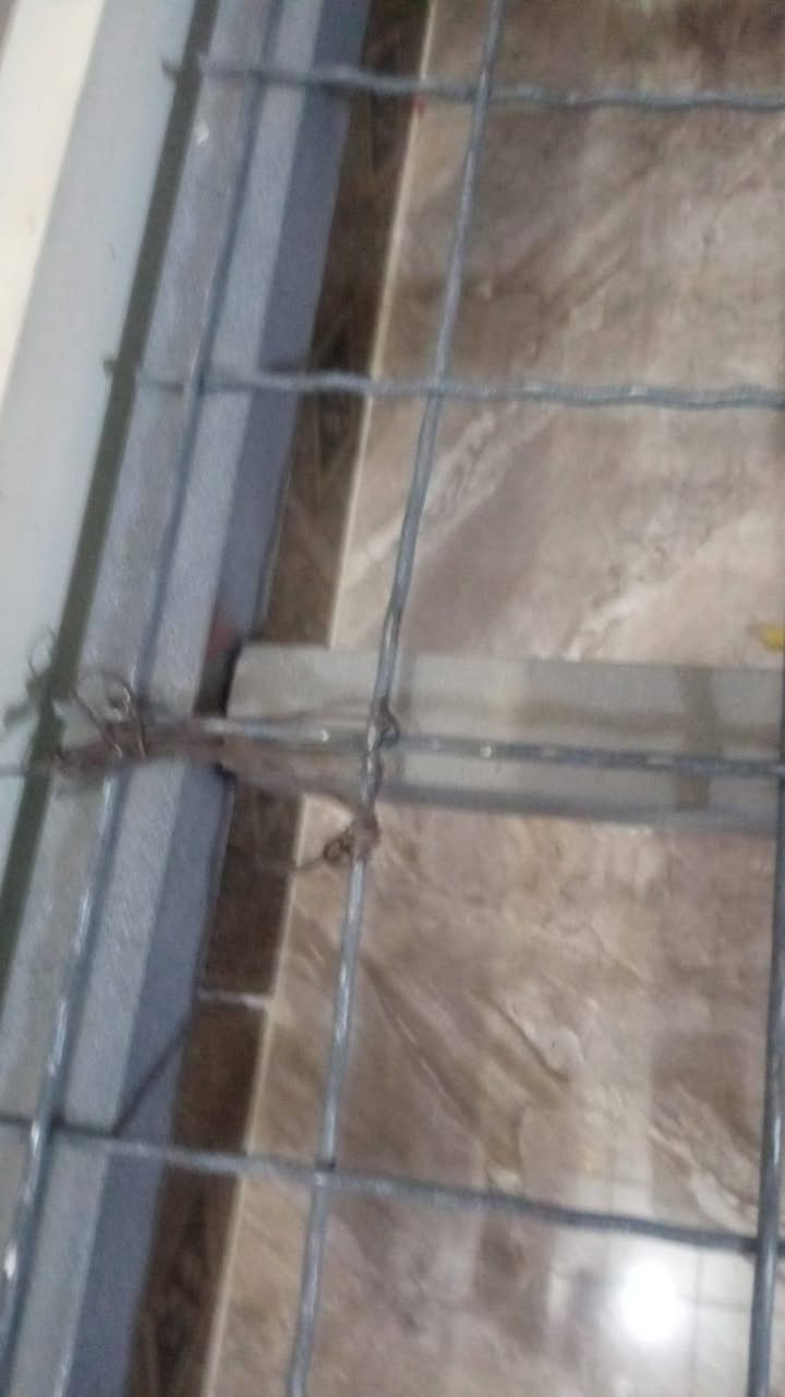 غراض للبيع مكان حله كريطعه قرب بيت الوزير قريوليات اثنينهم ٥٠ ومكينه ٨٥ وكاويه ١٠


**إذا كنت صاحب هذا الإعلان وتريد حذفه لأي سبب، رجاءا أرسل رسالة إلى الدعم الفني**