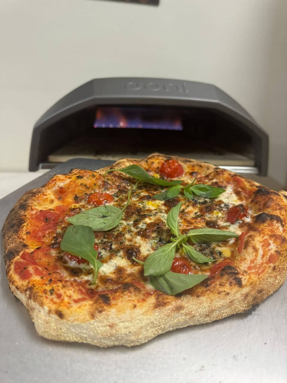 فرن حجر ماركة أوني حجم 12
مستخدم قليل نظافة 99٪
كامل محتويات 
سعر 500


**إذا كنت صاحب هذا الإعلان وتريد حذفه لأي سبب، رجاءا أرسل رسالة إلى الدعم الفني**