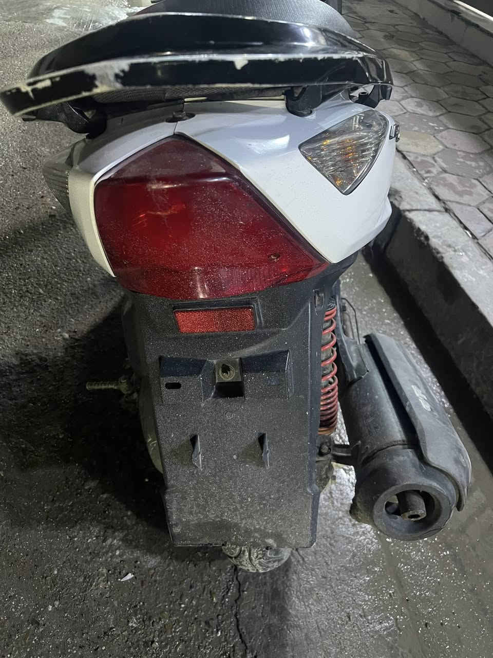 ثعلب مكفولة من كلشي مكاتبه ومنفيس السعر 700 بيهة مجال بسيط مكاني بغداد واتساب  ***********
