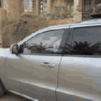 ٢٠١٥ • ٧ راكب • بدون رقم