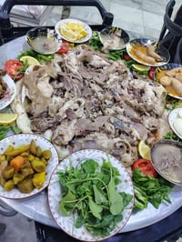 باچه العجل • توصيل • ريوگ من ٥