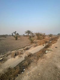 طابو زراعي • ٥ دونم • شارع بنات الحسن