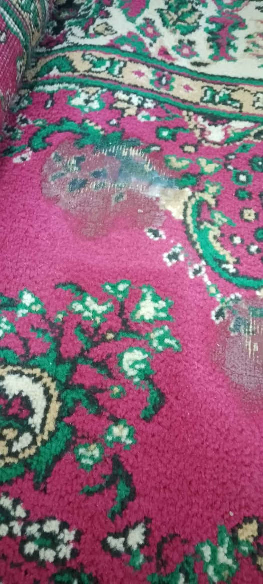 كلمن وسعره كربلاء, العراق


**إذا كنت صاحب هذا الإعلان وتريد حذفه لأي سبب، رجاءا أرسل رسالة إلى الدعم الفني**