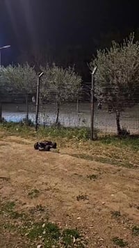 فعاليات • فئة 1/8 • سرعة وقفزات