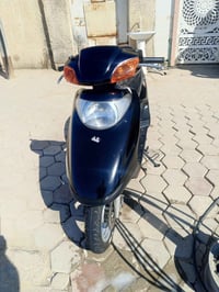 سبيسي • ماليزي • جاهزة