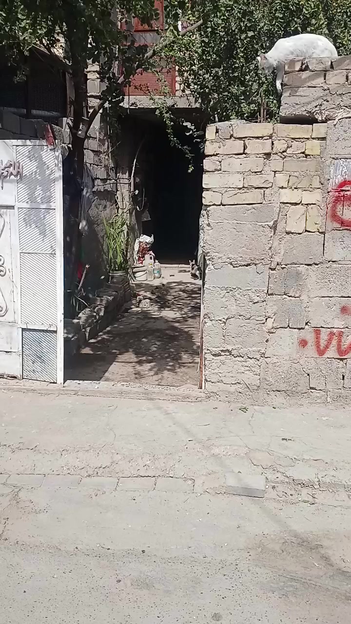 بيت للبيع مساحه 125متر سعر مناسب ***********
