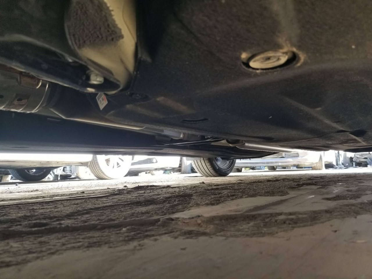 سلام عليكم🙋🏼
الي يحب يضيفني على صفحاتي مختص بيع سيارات الوارد والخليجي  و مزاد وتعقيب تصليح تجاره قطع الغيار والادوات 
📍 تيك توك: محمد ذيب لتجاره سيارات
📍 فيس بوك : محمد ذيب هوندا
📍 مكاني بغداد العامريه
📍 عنوان الشركة والمزاد بغداد المنصور 
تقاطع سيد الحليب
🚘✌🏻
 ١-نوع السياره:كي فايف
٢-موديل:٢٠٢٦
٣-فئة السياره؛جي تي لايف
٤-حجم المحرك:٢٥٠٠
٥-المسافه المقطوعه:٢٠٠٠ فقط يعني زيرو
 ٦-الضرر  السياره:مرفق مع منشور
٧-موقع السياره:مشحونه الى دبي جبل علي 
 ٨-رقم الوحة:فحص
٩-سعر الكلي للسياره:138$ 
١٠-شرح اضافي للسياره :٥٠ يوم من تاريخ نشر الى دبي جبل على  شامل الشحن
للاستفسار مراسله الصفحة  او على واتساب
***********
