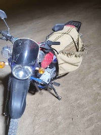 بوكسر موديل، 23 فحل اوراقه كامله اصولي لون ازرك السعر 1250 وبيه مجال 0...