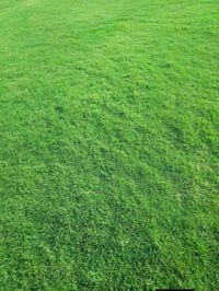 الثيل الهندي درجه الأولى للحجز الاتصال او المراسلة على الواتساب على ال...