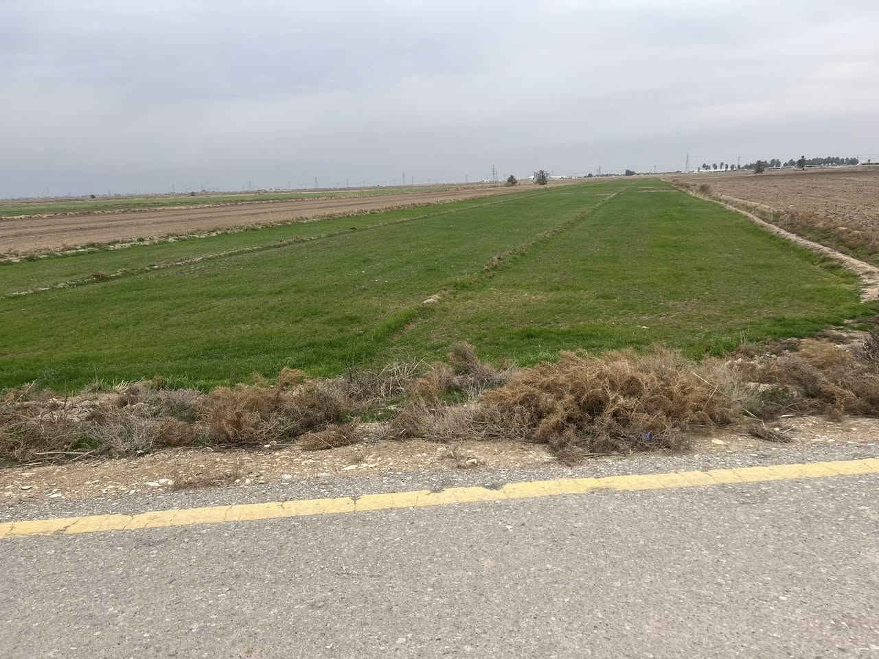 سلام عليكم ارض عشره دونم طابو  مكانه بتار قرب مركز السلام متوفر كلشي شارع تبليط تبعد عن شارع بغداد خمسميت متر 
رقم تليقون ***********
