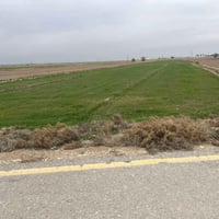 بتار مركز السلام • ١٠ دونم • طابو