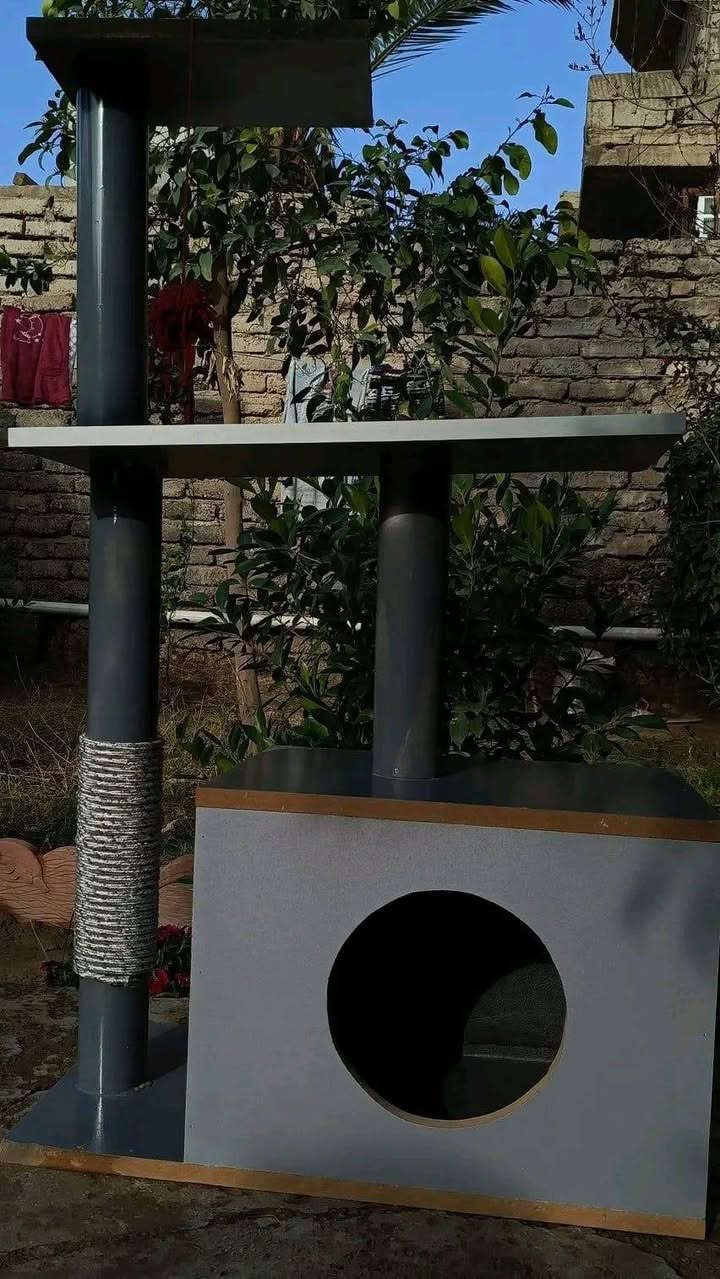 سلام عليكم منزل قط للبيع خشب كوالتي عالي الارتفاع 112سم
العرض 69سم يحتوي عل رفوف عالية للقط السعر 60الف...


**إذا كنت صاحب هذا الإعلان وتريد حذفه لأي سبب، رجاءا أرسل رسالة إلى الدعم الفني**