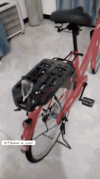 شباب للبيع المكان تقاطع النهروان مكفول كفاله صارلي سبوع من نزل السعر 1...