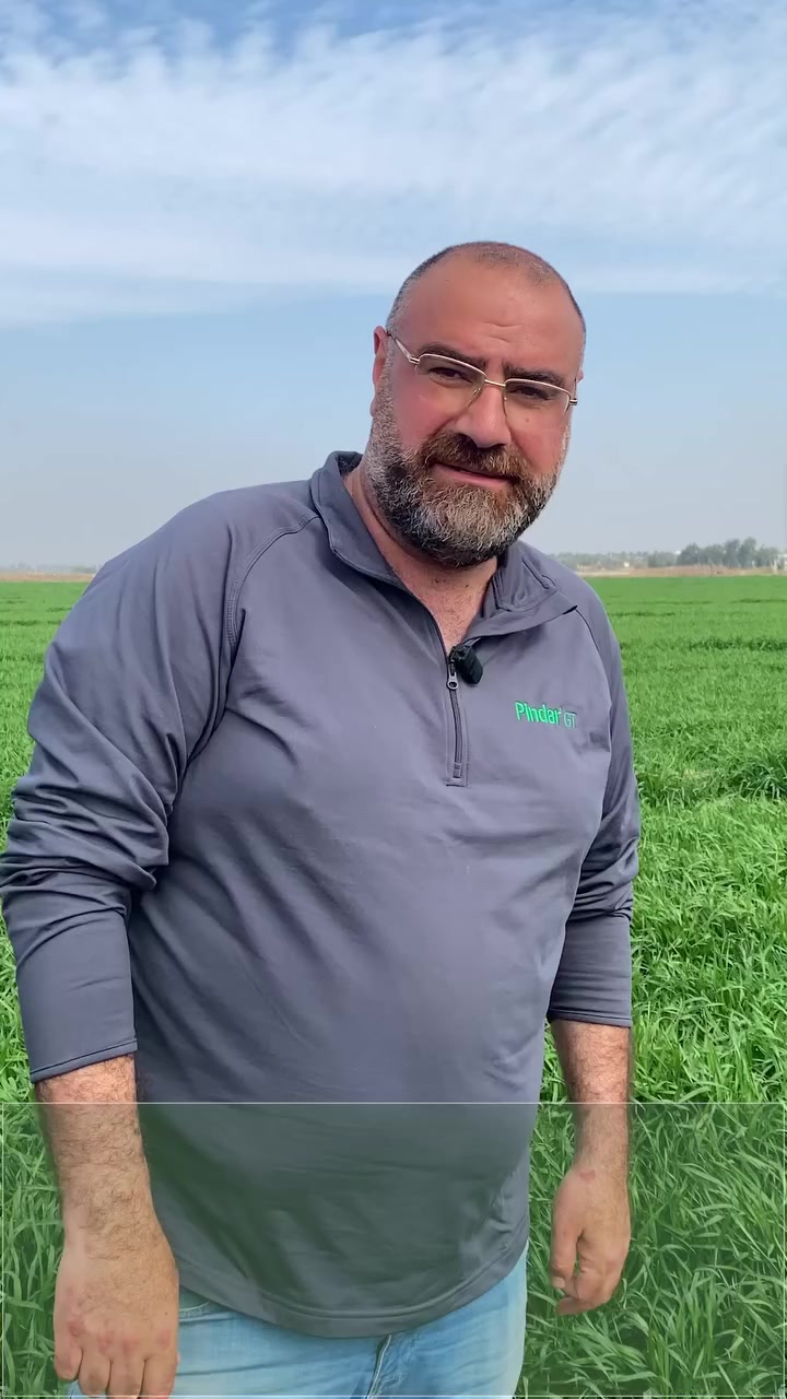 احد اهم اسباب قلة التفرعات في الحنطة هي زيادة كميات البذار 
كلما كانت كمبة البذار اقل كلما زادت التفرعات 
وبالتأكيد البرنامج التسميدي الصحيح المبني على تحاليل التربة وتوفير جميع العناصر بالنسب التي يحتاجها النبات  ستؤدي الى نبات  ذات افرع كثيرة وقوية تنتج سنابل وحلوب ممتلئة للوصول لاعلى انتاجية في الدونم  العراقي 
للمزيد من المعلومات والاستفسارات يمكنكم التواصل 
مكتب النور الزراعي ( شركة الماس الاصفر ) 
بغداد - - اليوسفية - علوة الرمل 
***********
***********
المركز العلمي للتقانات الزراعية الحديثة
Alnoor Offici
#ادغال
#حنطة
#مزارع
#
