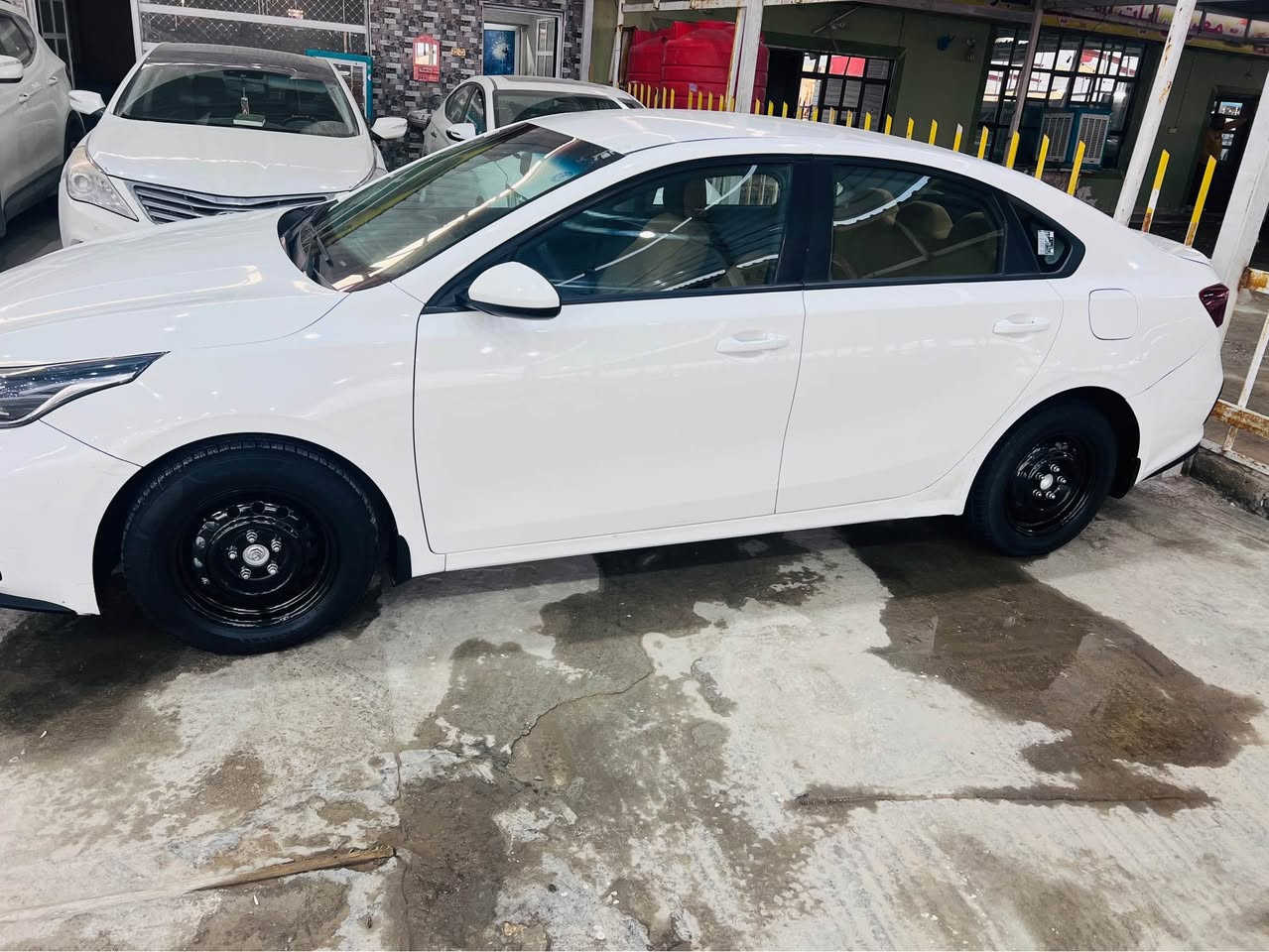 سيراتو 21 موديل خليجي مكينه 1600 قتصاديه 
رقم جديد وهزه وفحص كله جديد سياره بيه يم رقم قبق جنطه صبغ فقط وبارد بل جاملغ سياره جيده وحلوه تخم تاير جديد تبريد ثلج حداديه جديده سياره نضيفه والبيع او مراوس شراي يتصل ويدلل مكاني نجف الاشرف 
*********** النجف, العراق
