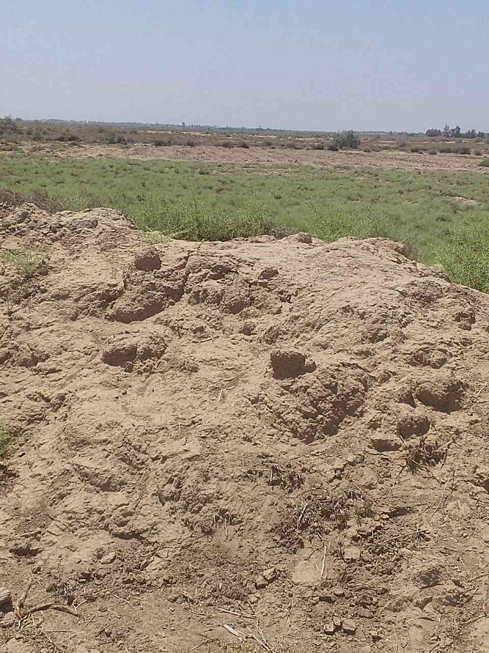 ارض للبيع 30دونم على الخط السريع المكان الدوانيه الدغاره بعد 400متر هن التبليط الماء سقي وماء اساله وكهرباء طابو سند 25 مداورة باسمك مباشر  ***********
