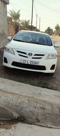 كورلا كندي • ٢٠١١ • صلاح الدين