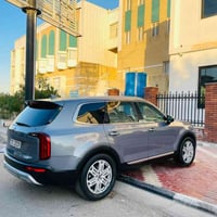 تيلورايد • ٢٠٢١ • وارد أمريكي