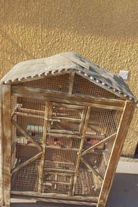 قفاصة للبيع المكان الغزالية  الاتصال للاستفسار على الرقم  07903183229