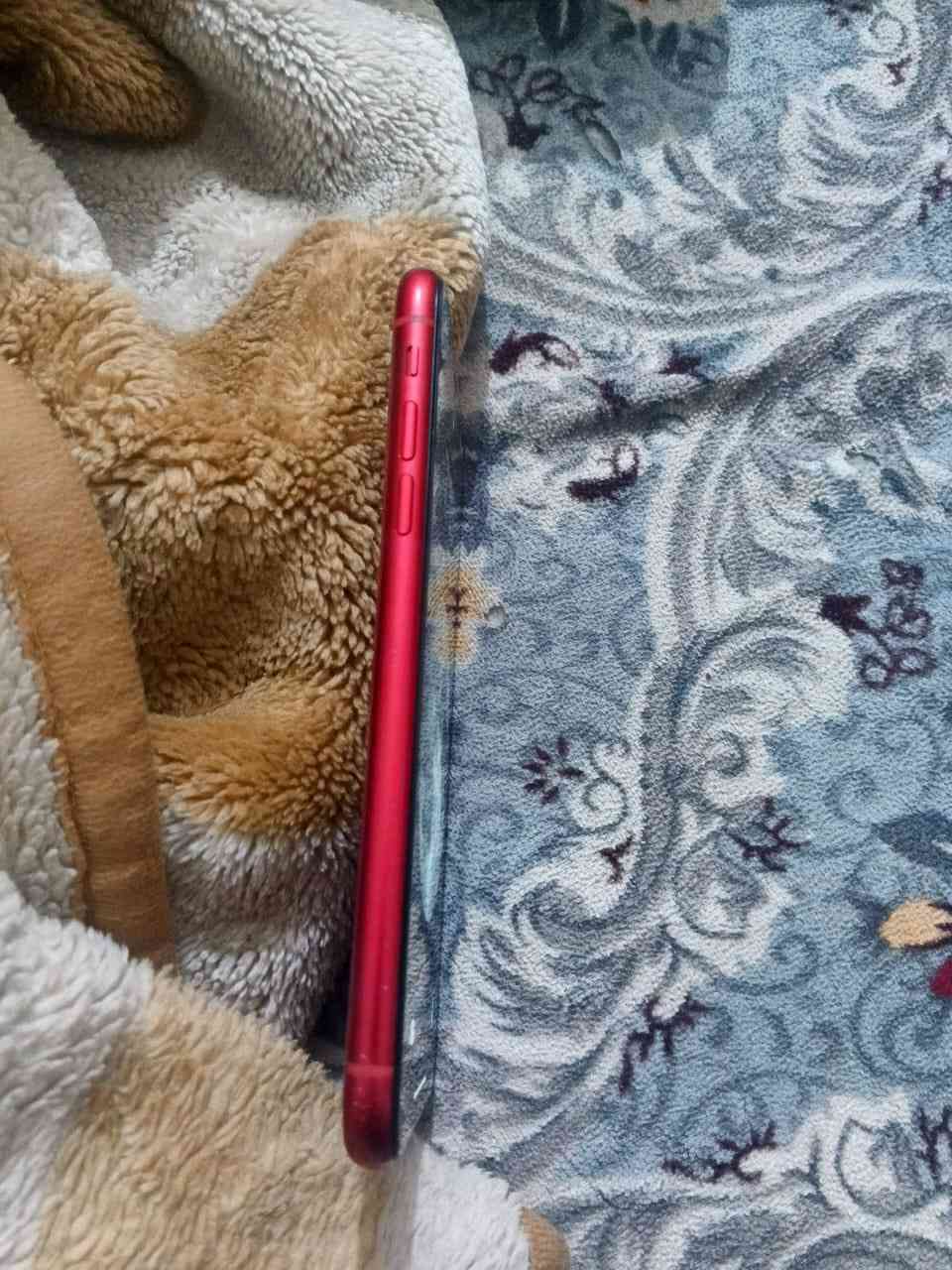 اكس ار مكفول من الفتح بطاريه 76ذاكره 128لون احمر نموذج Mالسعر 135ارخص اكس ار بل سوك رقم ***********مكاني بابل حله شارع 40
