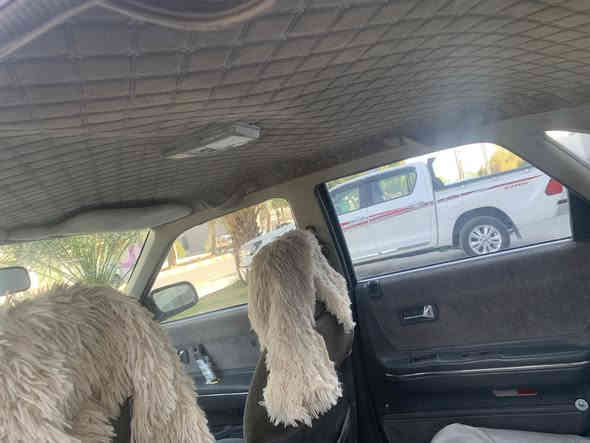 مازدا ٨و به خ گێڕ عادی به شەرتی گێڕو مکینه ی بێ عیب
جوار تایە و ویلی سۆبه ر لوکی له زێردایە
بێ بۆیاخ دە عمو لێدراو معجونی هیج نیە کامل له سەر شەریکه ماوەکارەبای و گەرم لایت گیج کامل ایش دەکات
رە قم اربیل خاوەنی ووفاتی کردوە به شەرتی اولیات غهًً رامه مالي كهً س نه بيت ايفروشم
نرخ٢٢گلا بارەی سەنه وی جنوبێکه
شوێن که لار
***********وەستاب و فایبه ری له سەرە
تکایە تکایە هه مو شتێکم نوسیوە 
مشتەری نیت تلفون مه کە
قیست قەرزو گۆڕینه وە ناکە م
