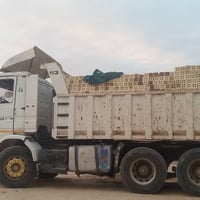 ناصرية رفاعي • مكينة ١٢ ونص • صنكل عضله