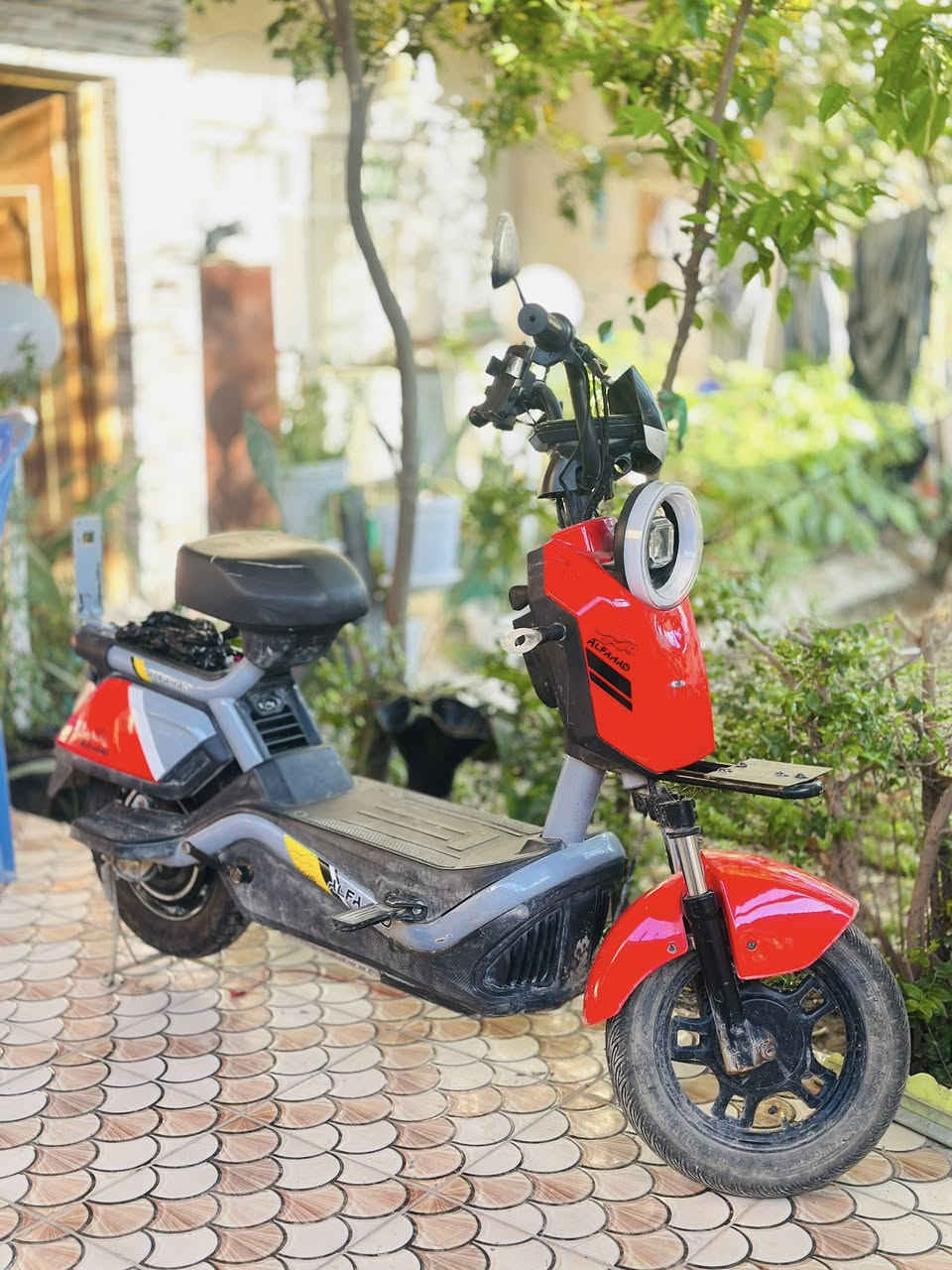 السلام عليكم

دراجه شحن للبيع ماصارلها فتره من اخذتها بطاريات بعدهن جدد بس الدراجه مهموله نقصها كشن خلفي فقط شاشه بلوتوث 4 نمر 5 بطاريات سعره 250 وبي مجال بسيط رقمي ***********
