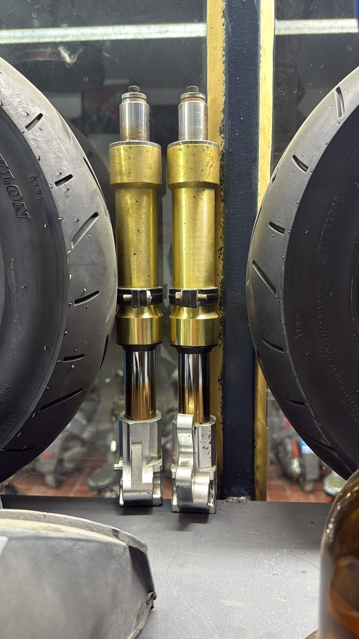 سلام عليكم صدر ويل ماكس  غراض مل رمبه مكفول من النضوح وطسه مكان زعفرانيه ***********
