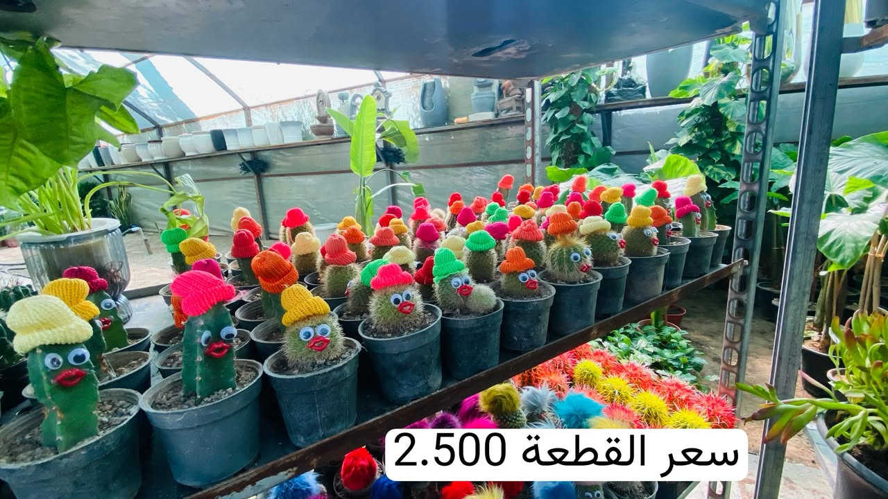 يالله وجبة جديدة انشاء الله الاسعار داخل الصور 
للطلب والاستفسار 
***********
