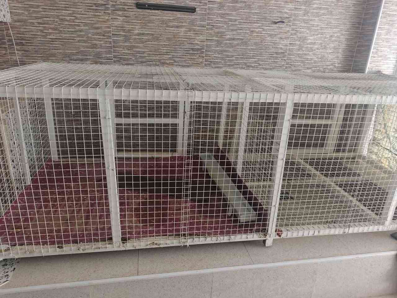 سلامو عليكم اخوان عندي هاي غراض محل مال دجاج ابيعن شلع ***********
