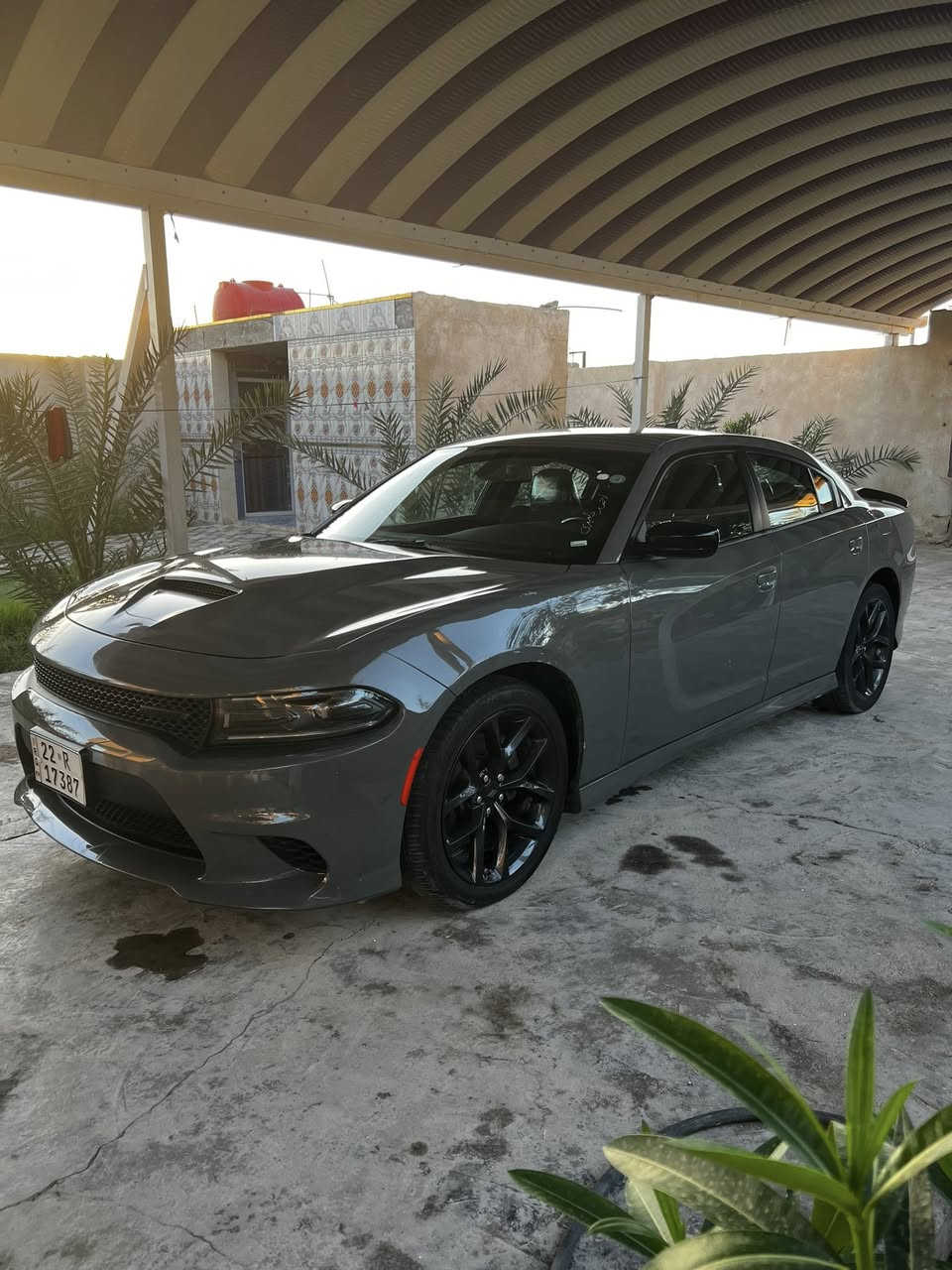 السلام عليكم للبيع دوج جارجر مديل 2023 وارد أمريكي الحادث جاملغ بارد والبنيد بيه صبغ  بدون شواصي وبدون أرباك رقم أربيل وكاله تحويل  للستفسار على رقم ***********
