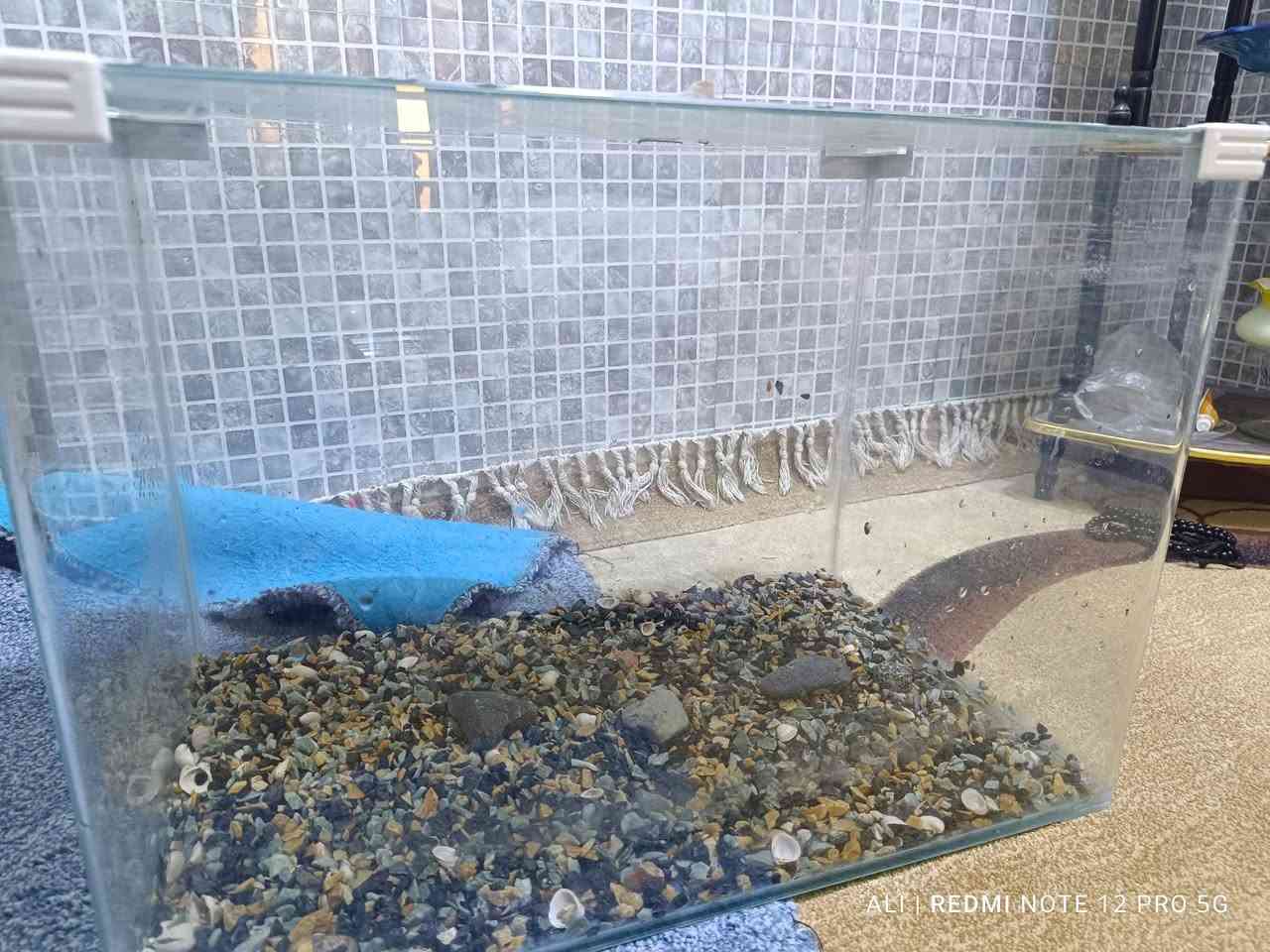 حوض سمك للبيع السعر 20 مكان نجف حي الجامعة


**إذا كنت صاحب هذا الإعلان وتريد حذفه لأي سبب، رجاءا أرسل رسالة إلى الدعم الفني**