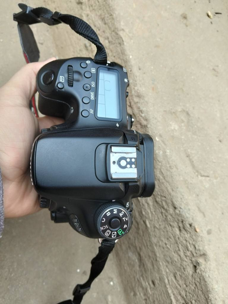 كانون 70d معها لينس 18.135stm و بطاريه شاحن حزام شنطه شتر قليل مقستش حاله معبره 
مكان الشرقيه مركز الابراهيميه السعر17الف
01007508543 مركز الابراهيمية, الشرقية


**إذا كنت صاحب هذا الإعلان وتريد حذفه لأي سبب، رجاءا أرسل رسالة إلى الدعم الفني**