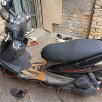 سكنس فحل • مكفوله • مابيها نقص