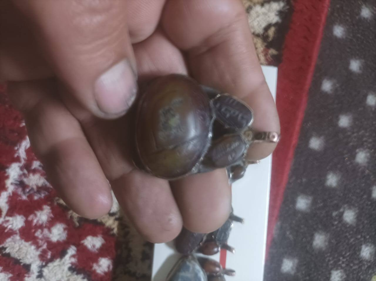 اسلام عليكم كلايد قديمات مخطوطات أشكال للبيع السعر اتصل على الرقم صاحب الأغراض *********** مكاني كربلاء المقدسة صبار ابو حاتم
