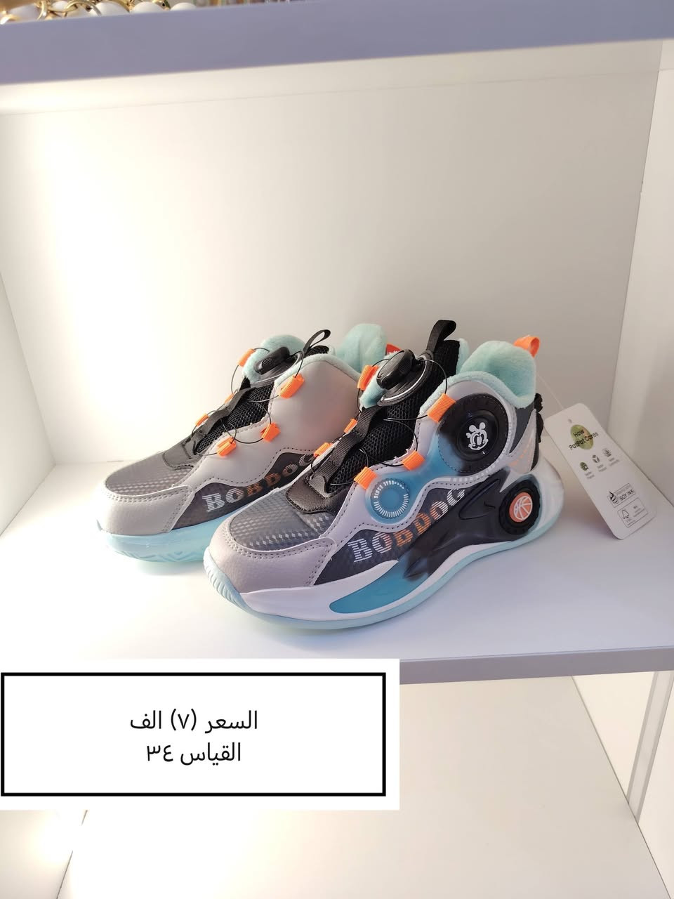 بلا  منافس اسعار  حلوه
  هذه احذيه  الولادي بناتي 
وعندي جنط احذيه كعب نسائي
 ملابس مدرسه       اتراكات  
 ضيفوا الحساب وراح انشر بيه كله تخفيضات 
بلا منافس  سارعوا الحجز كميه قليله


**إذا كنت صاحب هذا الإعلان وتريد حذفه لأي سبب، رجاءا أرسل رسالة إلى الدعم الفني**