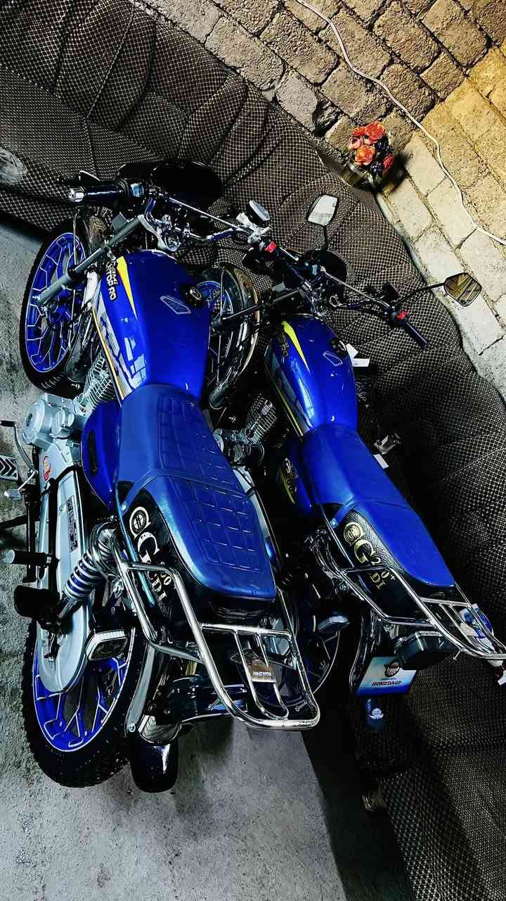 شباب وجبه جديده موديل 25و25بلادي الزرك25ولاسود26كلو شرط ***********
