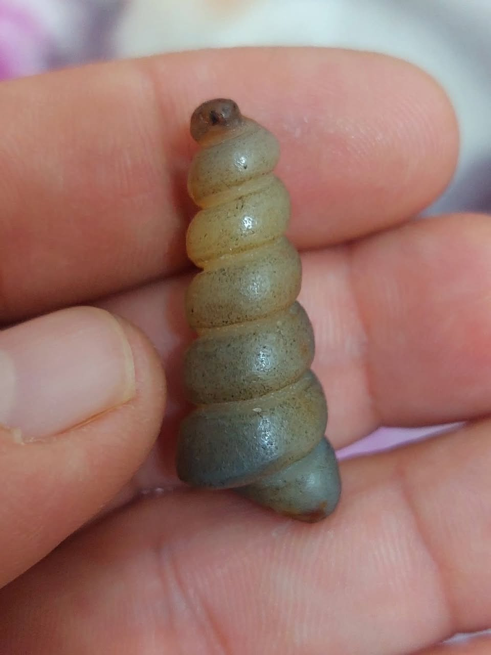 #يا #الله لوي. سويحلي سليماني معطف   طبيعي  مال كاع النباعي  شفاف وفول روحانيه هائله مال مزامط  شغل جوكر 🃏 عام مفتوح *********** 6 لويات طبيعي شفاف تسهيلات عامه لجم وقبل عام  فول الفول روحانيه  ينختم ويتوكل مع طلسم برق الغزال الاصلي  مال مزامط  *********** ملك الاحجر المروحنه والطاقه باذن الله🤟🤟🤟🤟🤟  على مستوه العراق والوطن العربي👉  مختص بي هاذا المجال ومتمكن بعلوم الروحانيه الخاصه بالحجار المروحنه والطاقه  ومعلج بلرقيه الشرعيه والقران الكريم  بجميع الاسحار والتوابع والقرين السيئ والمس والتلبس الشيطاني وازاله جميع الطاقات السلبية  متمكن  بقوت الله تعاله
