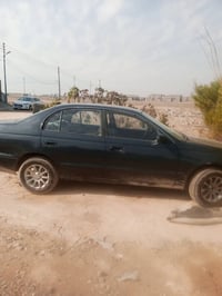 كرونه بطه • نفخ فرح • صلاح الدين ٣٣