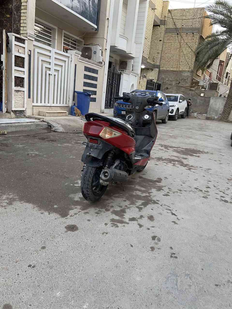 السلام عليكم سكنس فحل للبيع دراجه 58ونص الباقي كلشي بلادي بيها كم شغله رياضي صدر رياضي دراجه حلوه فقط كلاجات تعبانه كلش يرادلها كلج خلفي لين تعبان كلشي شغال ب دراجه السعر 600بيها مجال عنوان بغداد كريعات تواصل وياا هذا رقم ***********
