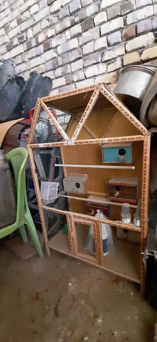 قفص كناري خشم جاهز يحتوي ع عش عدد4 وحافضات اكل عدد 2 و مال مي عدد2  السعر 60الف وبي مجال


**إذا كنت صاحب هذا الإعلان وتريد حذفه لأي سبب، رجاءا أرسل رسالة إلى الدعم الفني**