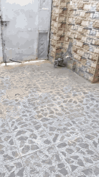 دار للإيجار مساحه ١٠٠ متر شارع مركز الشرطه للستفسار ***********
